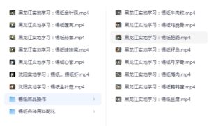 有人花5980元黑龙江学来的锡纸系列小吃资源，，适合想做副业或创业的人来学-大海创业资源网