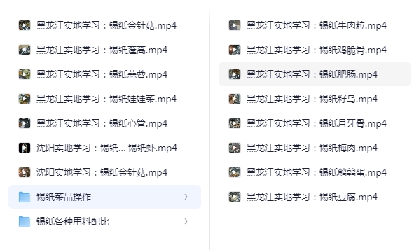 有人花5980元黑龙江学来的锡纸系列小吃资源，，适合想做副业或创业的人来学-大海创业资源网