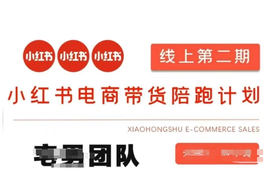 小红书电商带货课2期，月利润20个的小红书电商的有货源，无货源，虚拟产品，付费投流等整套玩法-大海创业资源网