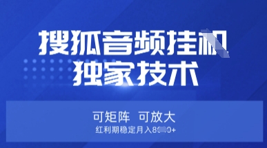 【搜狐音频挂G】独家技术，可矩阵可放大，红利期稳定月入8k【揭秘】-大海创业资源网